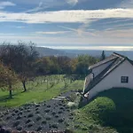 Nagykulcsos Nyúlontúl Mencshely