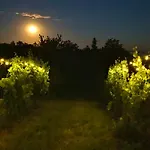 Nagykulcsos Nyulontul Dom wakacyjny