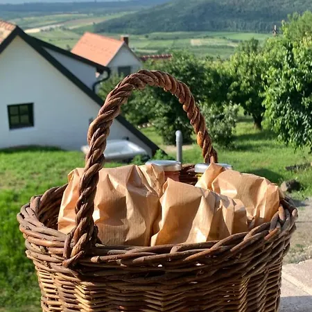 Nagykulcsos Nyulontul *
