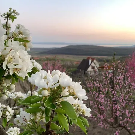 Nagykulcsos Nyúlontúl Nyaraló Mencshely