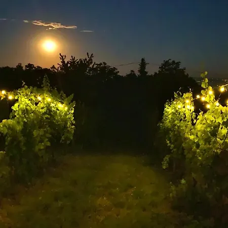 Nagykulcsos Nyúlontúl Сasa de vacaciones