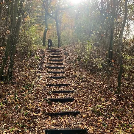 Nagykulcsos Nyúlontúl * Mencshely