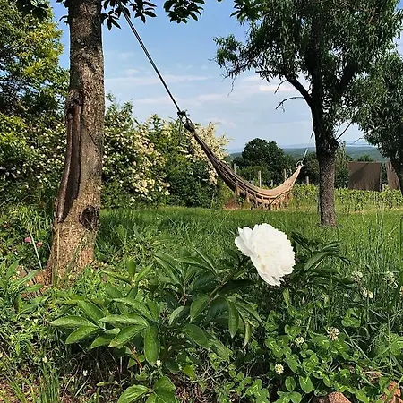 Nagykulcsos Nyúlontúl Сasa de vacaciones