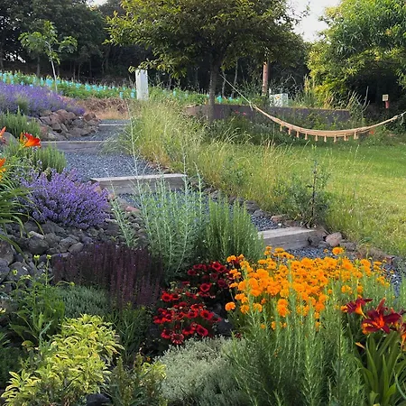 Nagykulcsos Nyúlontúl *