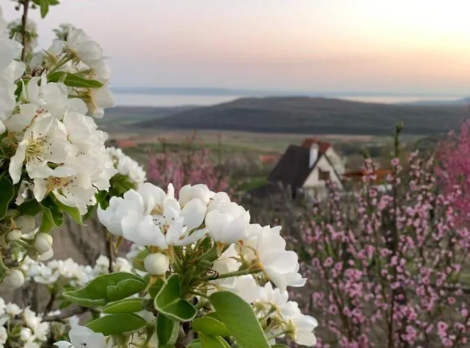 Nagykulcsos Nyulontul בית נופש Mencshely