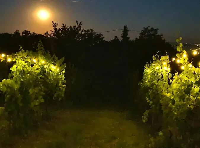 Nagykulcsos Nyulontul Dom wakacyjny