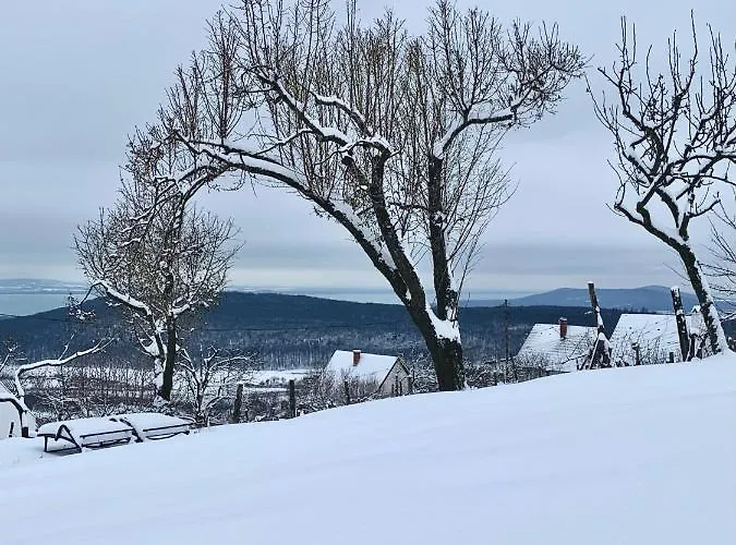 Nagykulcsos Nyulontul *