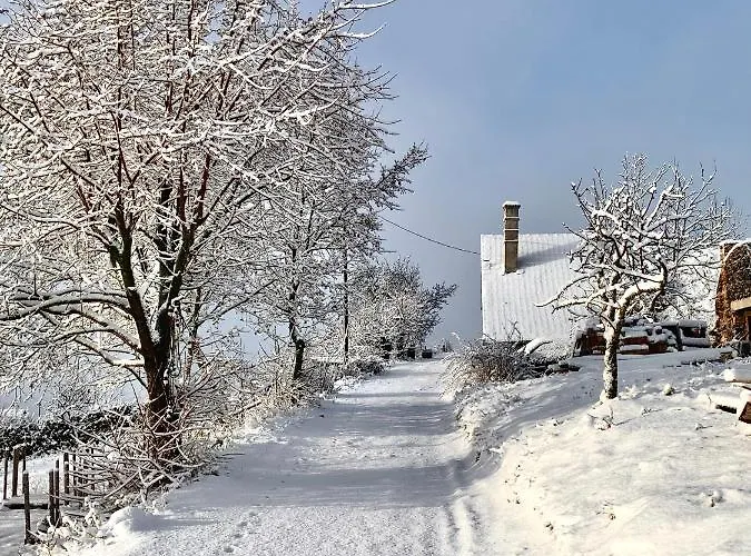 Nagykulcsos Nyulontul * Mencshely