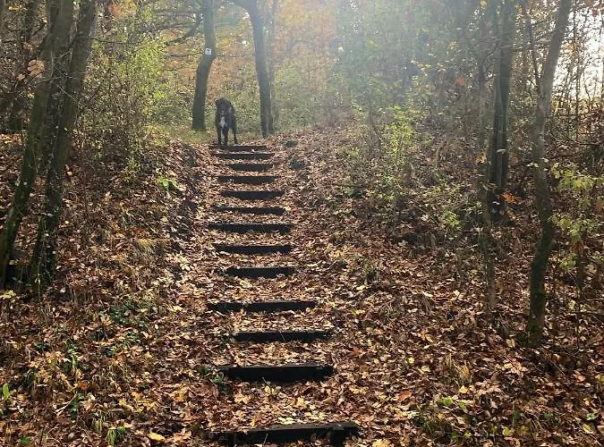 Nagykulcsos Nyulontul * Mencshely