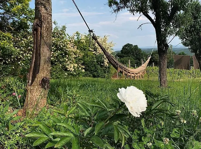 Nagykulcsos Nyulontul בית נופש